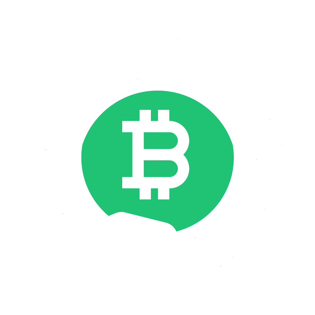 Zelkarpivo Portfolio Strategie